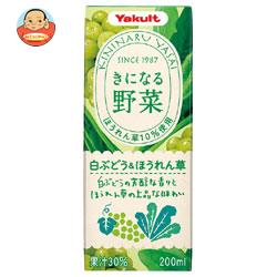 ヤクルト きになる野菜 白ぶどう&ほうれん草 200ml紙パック×24本入