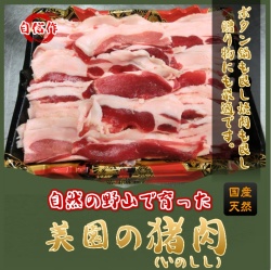【猪肉】500g 自然の野山で育った上質のイノシシ肉を直送