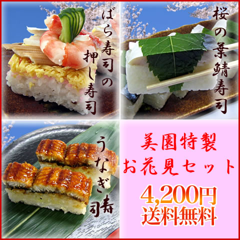 お花見セット☆春の押し寿司3本【送料無料】ばら寿司の押し寿司・桜の葉　鯖寿司・うなぎ寿司