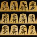 将棋駒 竹風作 虎斑 彫埋 菱湖