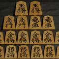 将棋駒 竹風作 虎斑特上 彫埋 水無瀬