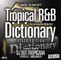 DJ DDT-TROPICANA / Hybrid Rec. Mix Series Vol.11��-New Jack Swing Flavor R&B Best! Part.2- [MIXCD]