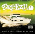 DJ PEPE / BREEZY VOL.1 [������MIXCD]