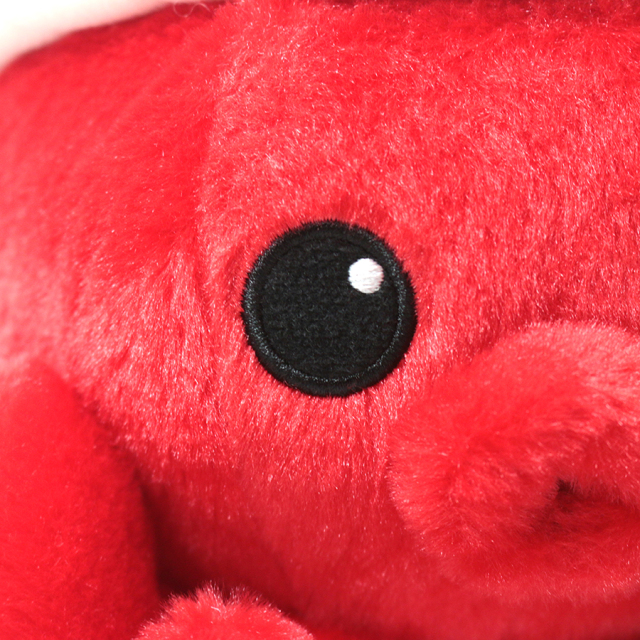 オクトパス君ぬいぐるみアップでチュ！