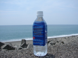 �֥롼�쥤��������������������