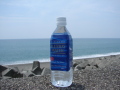 �֥롼�쥤��������������������