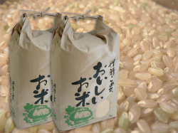 �²λ����� ���������̥ҥ��긼�� 10kg