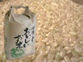 �²λ����� ���������̥ҥ��긼�� 5kg