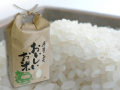 �²λ����� ���������̥ҥ��� 2kg