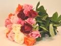 �Х� �ڤ��MIX30��