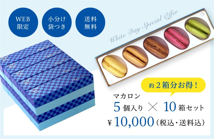 マカロン5個入り×10箱セット