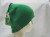 electric_eaglet_beanie_green