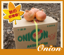 �̳�ƻ�ν���ޤ뤴�Ȥ��Ϥ��� �־��Ĥ����ͭ�����ޤͤ���S���������߶̡ˡס�10kg�ˡ�����̵����