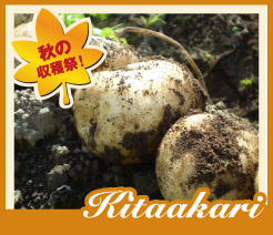 �̳�ƻ�ν���ޤ뤴�Ȥ��Ϥ��� ���������ͭ�����㤬����ʤ���������ˡס�5kg�ˡ�����̵����