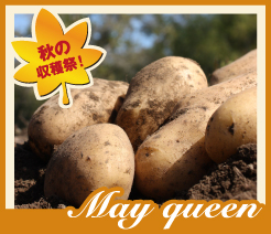 �̳�ƻ�ν���ޤ뤴�Ȥ��Ϥ��� ���������ͭ�����㤬����ʥ᡼������ˡס�5kg�ˡ�����̵����