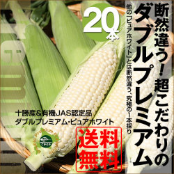 ���������ߡۡ�������Υ��֥�ץ�ߥ��ࡦ�ԥ奢�ۥ磻�ȡ�20�ܡˡ���������ͭ��JASǧ���ʡ���8��31���ޤǤ�ͽ��ǥݥ���ȣ��ܡ���