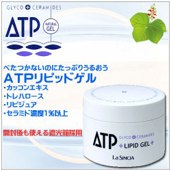 ����ߥɲ�����ATP��ԥåɥ��뤪����