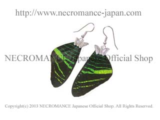 【ネクロマンス NECROMANCE】リアルバタフライウィングピアス Real Butterfly Wing Pierce ＜ウラニアツバメガ 前翅＞ 蝶々 羽