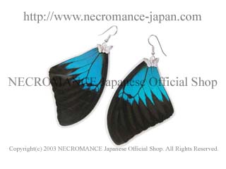 【ネクロマンス NECROMANCE】リアルバタフライウィングピアス Real Butterfly Wing Pierce ＜オオルリアゲハ 前翅＞ 蝶々 羽