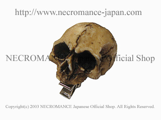 【ネクロマンス NECROMANCE】 リアルスカルヘアークリップ Real Skull Hairclip 骸骨 髪留め