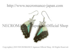 【ネクロマンス NECROMANCE】リアルバタフライウィングピアス Real Butterfly Wing Pierce ＜アオスジアゲハ 後翅＞ 蝶々 羽