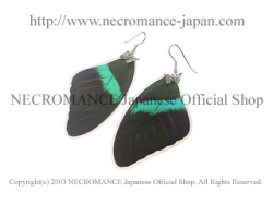 【ネクロマンス NECROMANCE】リアルバタフライウィングピアス Real Butterfly Wing Pierce ＜オオルリオビアゲハ 前翅＞ 蝶々 羽