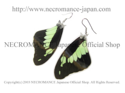 【ネクロマンス NECROMANCE】リアルバタフライウィングピアス Real Butterfly Wing Pierce ＜フォルカスミドリアゲハ 前翅＞ 蝶々 羽