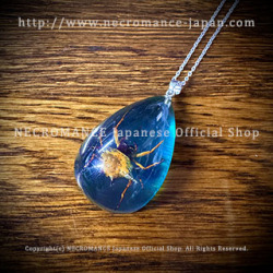 【ネクロマンス NECROMANCE】 リアルゴールデンエンジェルスパイダーネックレス Real Golden Angle Spider Necklace 蜘蛛