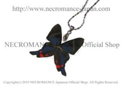 【ネクロマンス NECROMANCE】リアルバタフライウィングネックレス Real Butterfly Wing Necklace＜ペリアンデルツバメシジミタテハ＞蝶々