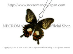 【ネクロマンス NECROMANCE】リアルバタフライウィングネックレス Real Butterfly Wing Necklace ＜シロオビアゲハ＞ 蝶々 羽