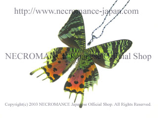 【ネクロマンス NECROMANCE】リアルバタフライウィングネックレス Real Butterfly Wing Necklace ＜ニシキオオツバメ＞ 蝶々 羽