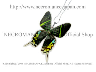 【ネクロマンス NECROMANCE】リアルバタフライウィングネックレス Real Butterfly Wing Necklace ＜ウラニアツバメガ＞ 蝶々 羽