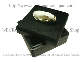 【ネクロマンス NECROMANCE】 ミンクスカルウッドボックス Mink Skull Wood Box ＜正方形＞ ケース 箱 ジュエリーボックス 骸骨