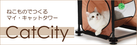 ���㥫���㥫������åȥ����CatCity