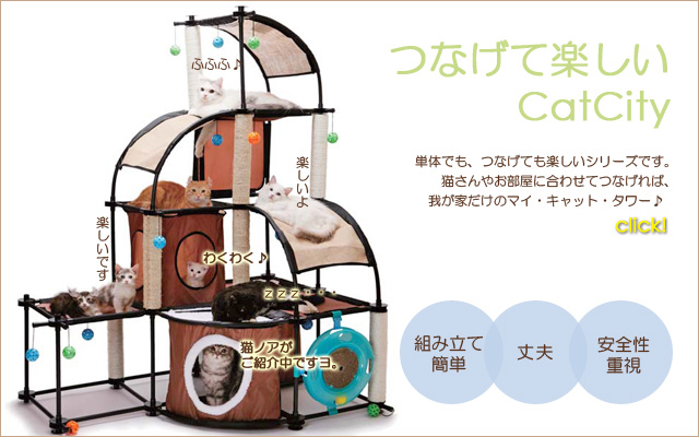 �Ȥ�Ω�Ƥ륭��åȥ����CatCity
