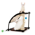 CAT CITY�����饤�ߥ󥰡��ҥ�