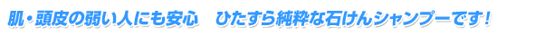 ȩ��Ƭ��μ夤�ͤˤ�¿����Ҥ���������Ф��󥷥��ס��Ǥ�