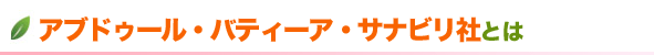 ���֥ɥ����롦�Хƥ����������ʥӥ�ҤȤ�
