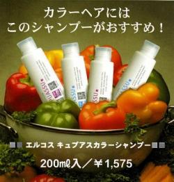�ں߸˽�ʬ�ۡ����륳��������ץ������顼�����ס�
