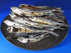 あご煮干し(平戸産) 7kg