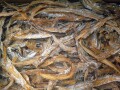 【訳あり特価】タチウオ煮干し 5kg 【レア煮干し】