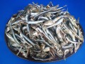 うるめいわし煮干し 小(牛深) 10kg 【訳あり特価】