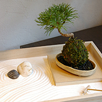枯山水セット(小)