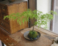 �Ĥ������ݶ�2012