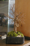 ���䥭�ߺ�20120124m