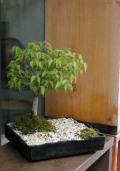 ݰ�ߺ�20120423m