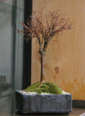 ���䥭�ߺ�20120120m