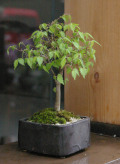 ݰ�ߺ�20120421m