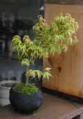 ��ɱ�ߺ�20120426m