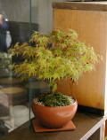 ��ɱ�ߺϾ�����ȭ20120415m